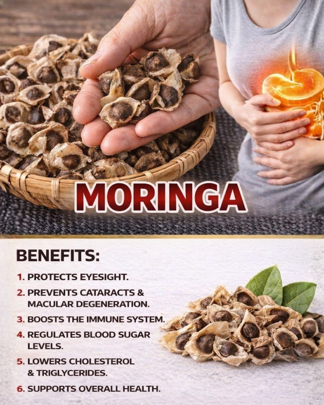 Moringa Seeds: The Natural Secret Your Body Has Been Waiting For